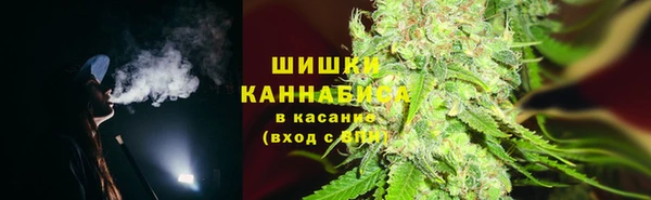 мдпв Кодинск