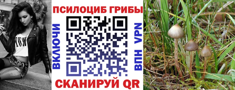 Галлюциногенные грибы Cubensis Удомля