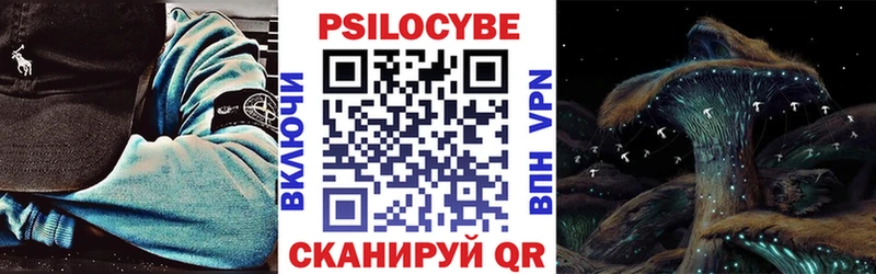 Псилоцибиновые грибы Psilocybine cubensis  Удомля 