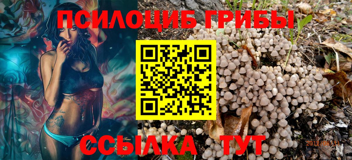 Псилоцибиновые грибы мицелий Удомля