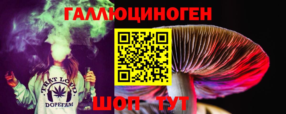 Галлюциногенные грибы GOLDEN TEACHER  Вход с VPN  Псилоцибиновые грибы прущие грибы  Удомля 